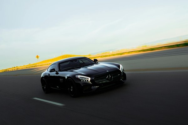 Soluzioni innovativa per gestire i comportamenti ossidativi nei gatti peterbald